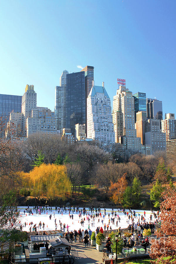 Central Park New York City Photograph by Glenn Harvey - Fine Art America