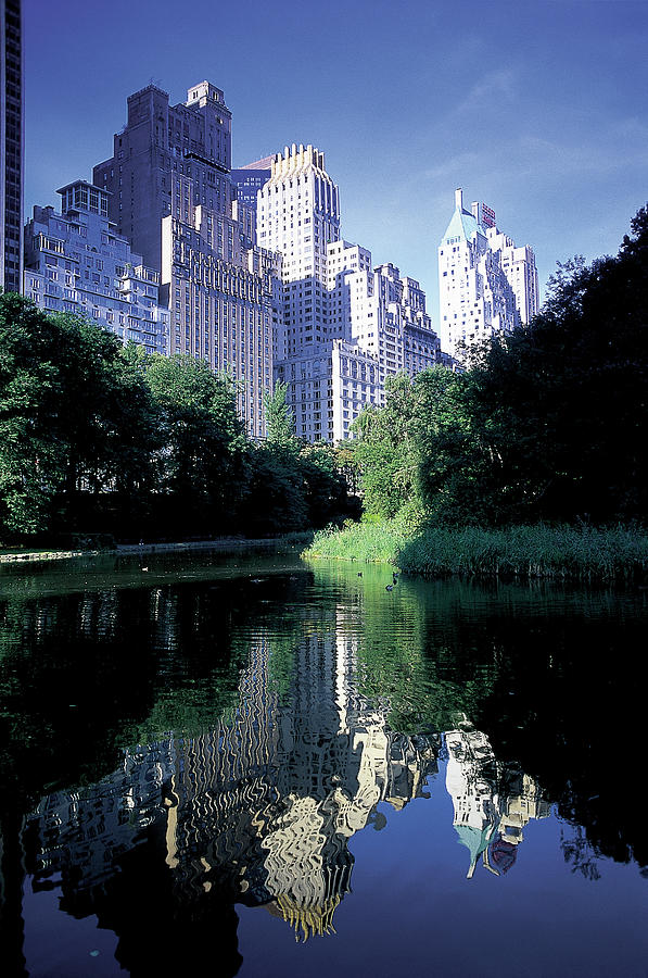 Central Park, New York City, New York Photograph by Peter Adams