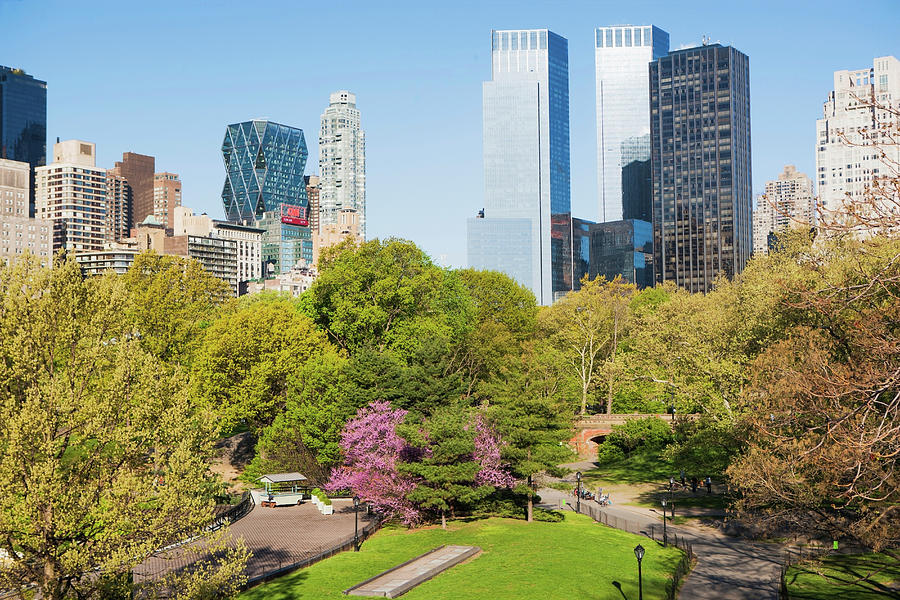 Central Park, New York City, Usa Digital Art by Ditto - Fine Art America