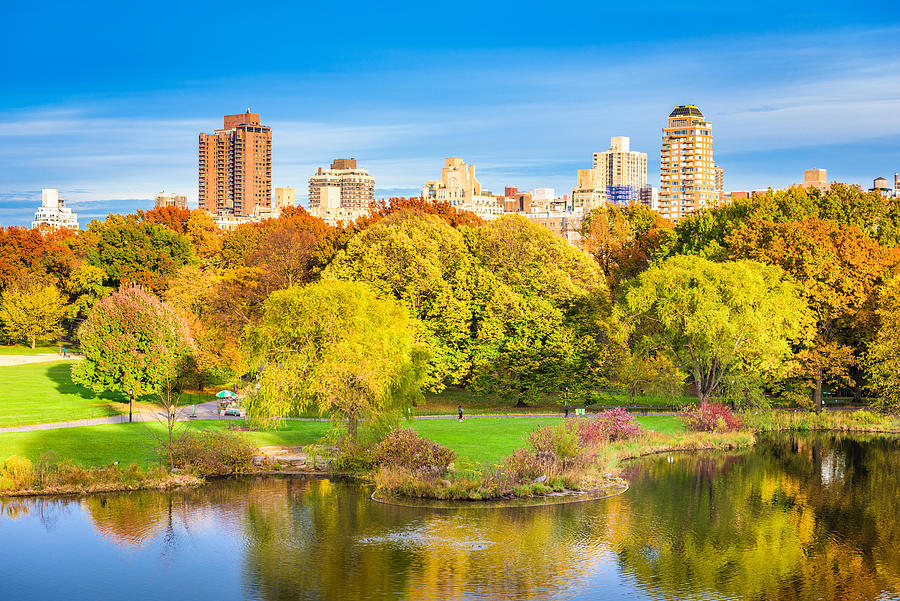 Fall Photograph - Central Park, New York City, Usa by Sean Pavone