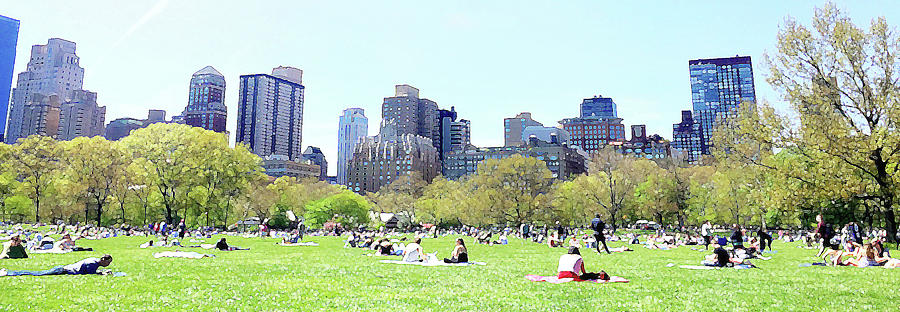 Central Photograph - Central Park Picnic by Acosta