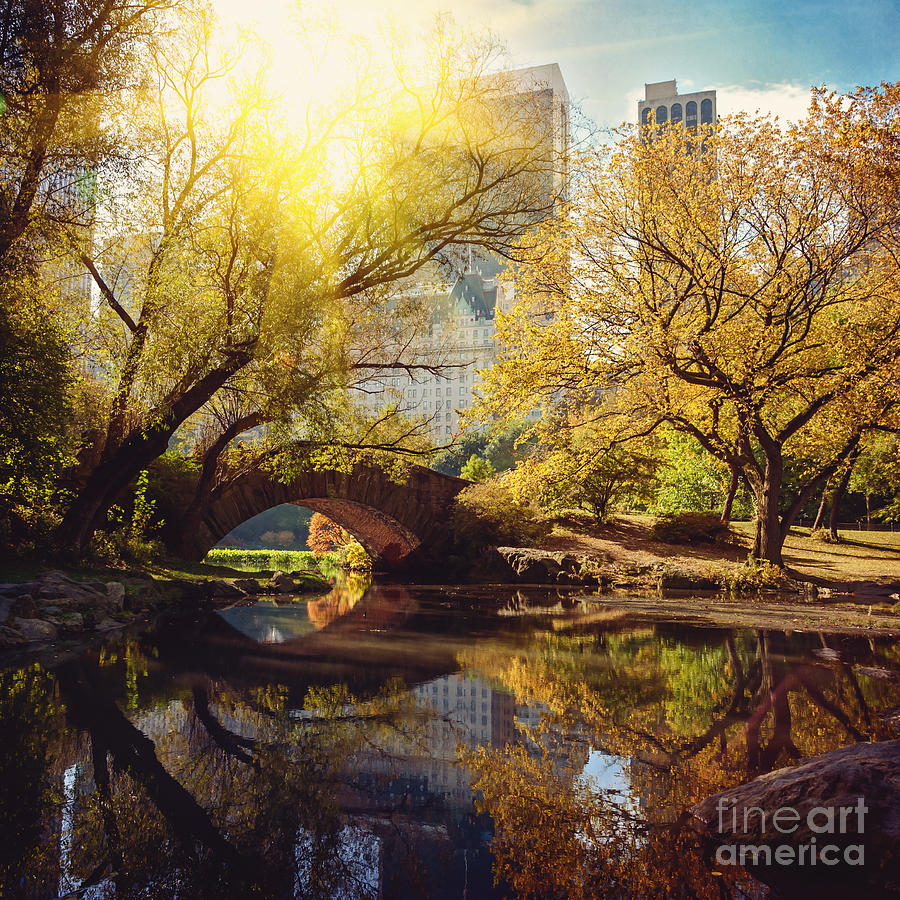 Pond Photograph - Central Park Pond And Bridge New York by Maglara