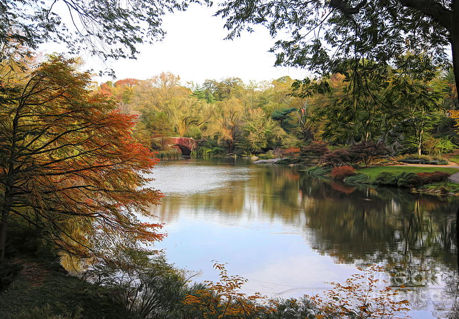 Central Park Seasons Fall  Photograph by Chuck Kuhn