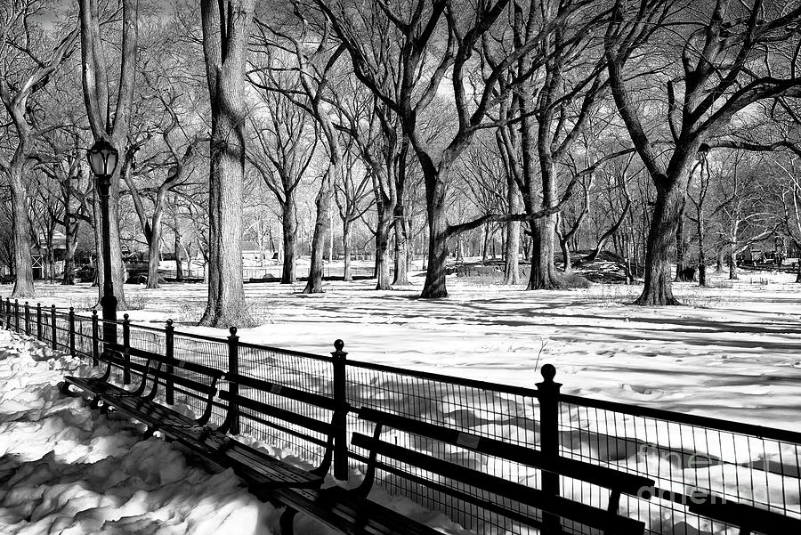 Central Park Snow New York City Photograph by John Rizzuto