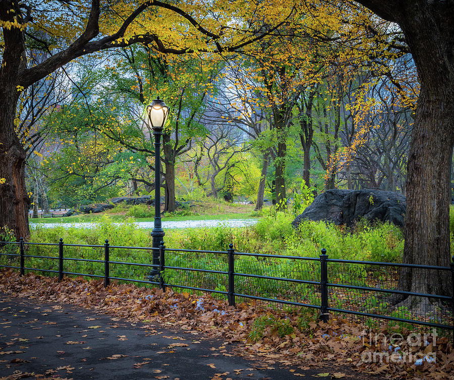 Central Park Streetlight Photograph by Inge Johnsson