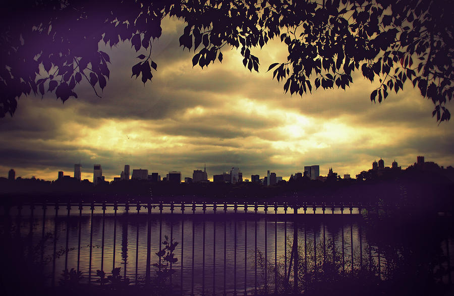 Central Park Twilight Photograph by Jessica Jenney
