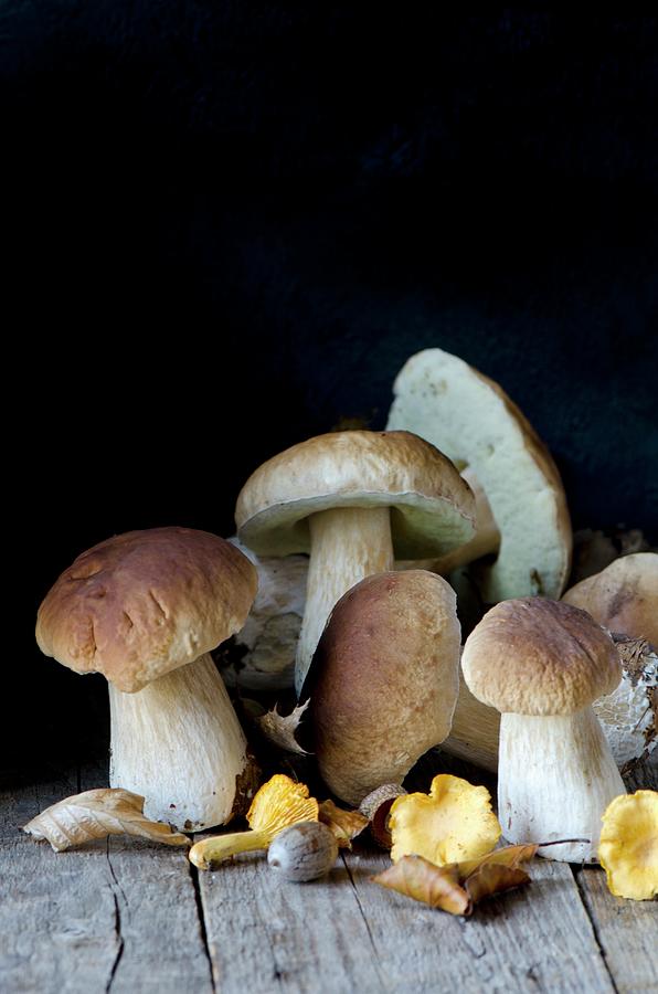 Ceps And Chanterelles Photograph by Jamie Watson Pixels