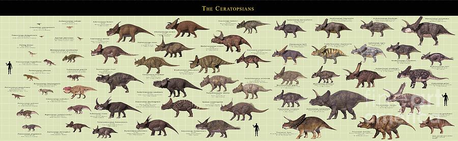 Ceratopsian Dinosaur Comparative Chart Photograph by James Kuether/science Photo Library