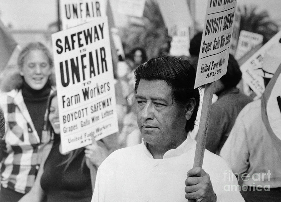 Cesar Chavez Leading Strike Photograph by Bettmann