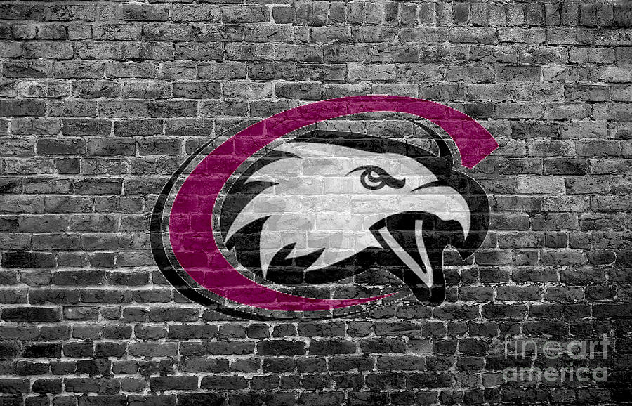 Chadron State College Eagles Digital Art by Steven Parker