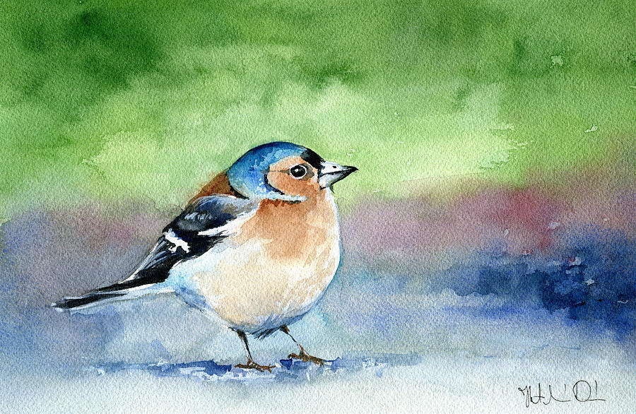 Chaffinch Painting by Dora Hathazi Mendes