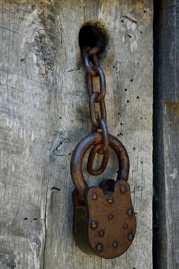 Chain and Lock Photograph by Karen Harrison Brown