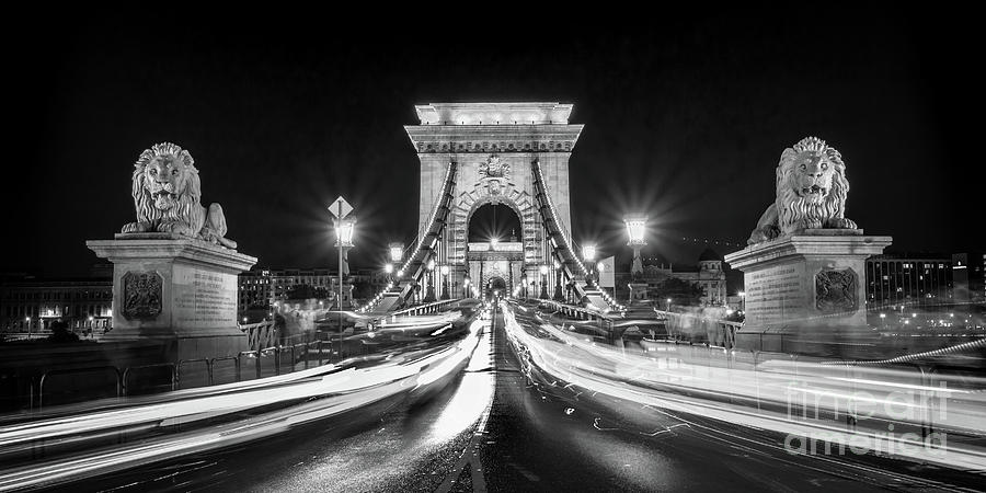 Chain bridge at night in Budapest Photograph by Delphimages Photo Creations