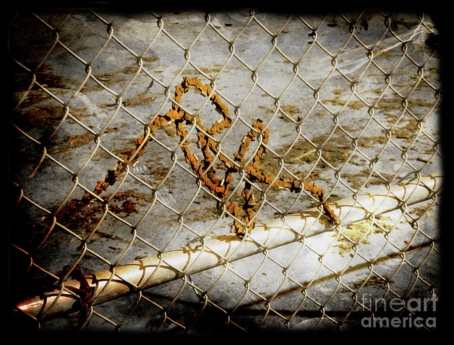 Chain Link Fence Photograph by Al Bourassa