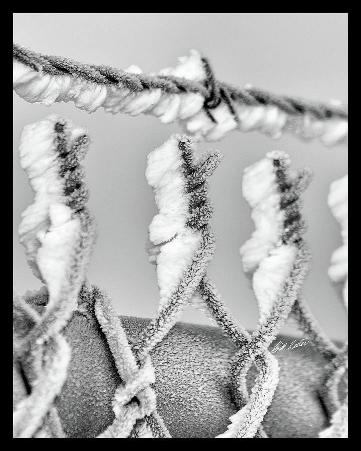 Chain Link Frost Photograph by Bill Kesler