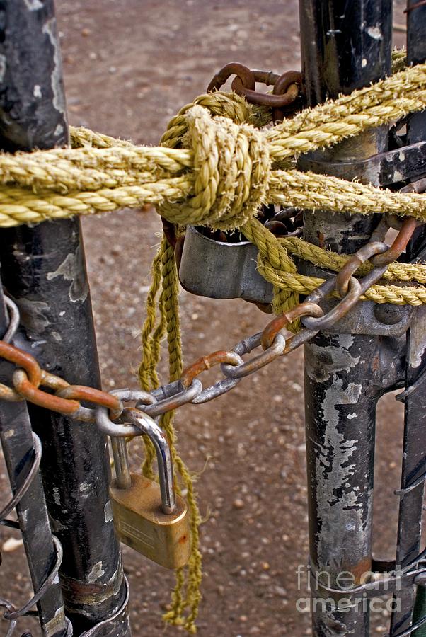 Chained Gate In New York Photograph by Mark Williamson/science Photo Library