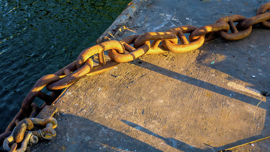 Chained in Light and Shadow Photograph by Cathy Anderson
