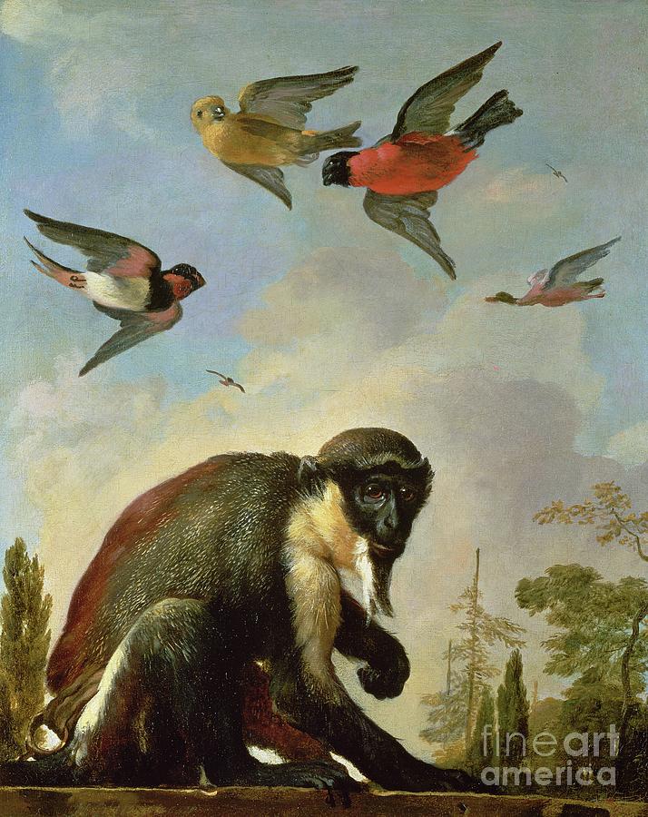 Chained Monkey In A Landscape Painting by Melchior De Hondecoeter