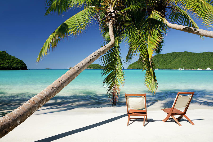 Chairs Under Palm Trees At A Beach In Photograph by Cdwheatley