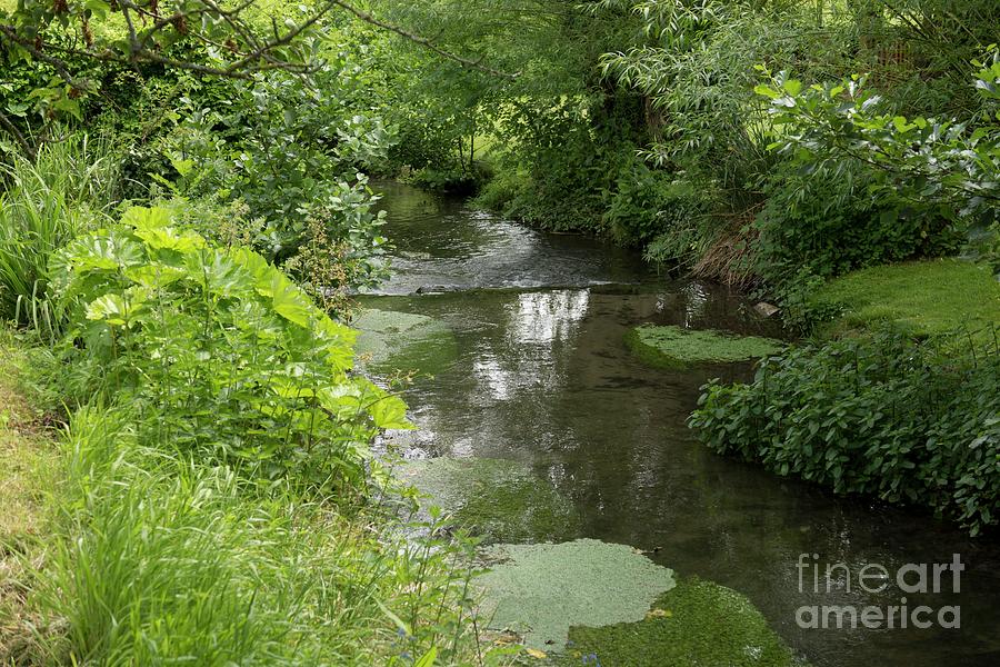 Chalk Stream Photograph by Sheila Terry/science Photo Library - Pixels