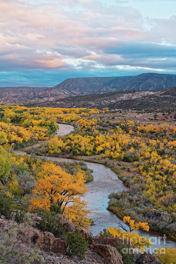 Chama River Valley Golden Cottonwoods - Abiquiui Rio Arriba County New Mexico Land of Enchantment Photograph by Silvio Ligutti