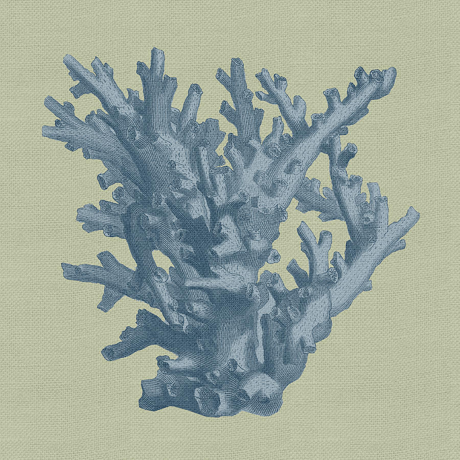Nature Painting - Chambray Coral I by Vision Studio