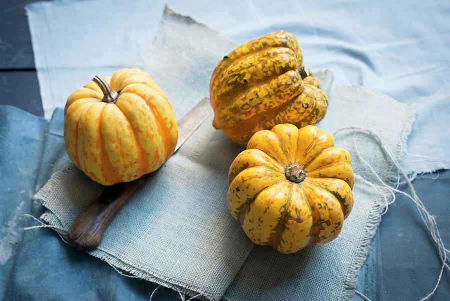 Chameleon Pumpkins On Blue Fabric Photograph by Manuela Rther