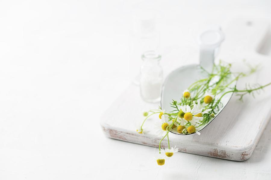 Chamomile And A Bottle Of Globules Photograph by Mandy Reschke