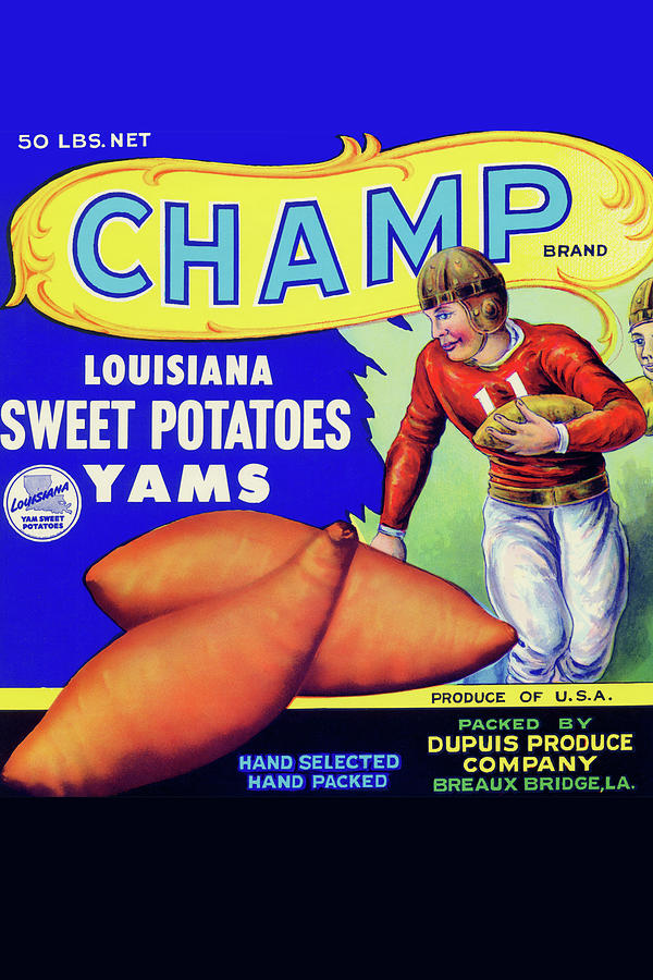 Champ Louisiana Sweet Potatoes Painting by Unknown
