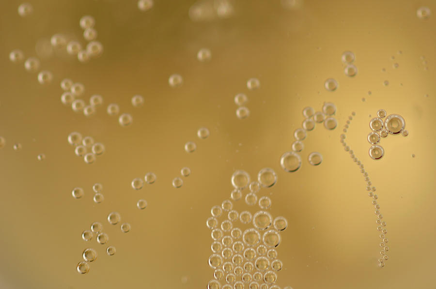 Champagne Bubbles Close Up Photograph by Peepo