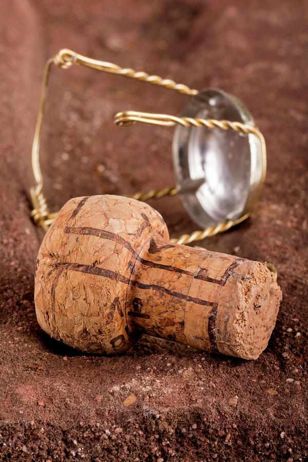 Champagne Cork With Muselet Photograph by Chris Schfer