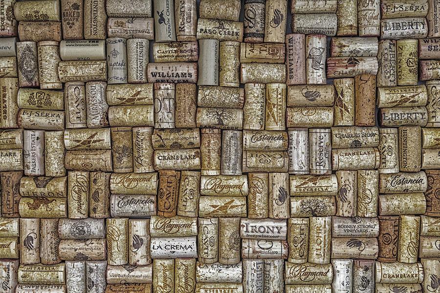 Champagne Corks on Wall Photograph by Darryl Brooks