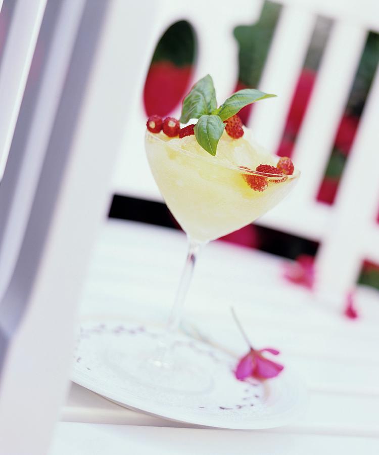 Champagne Granita With Wild Strawberries Photograph by Michael Wissing