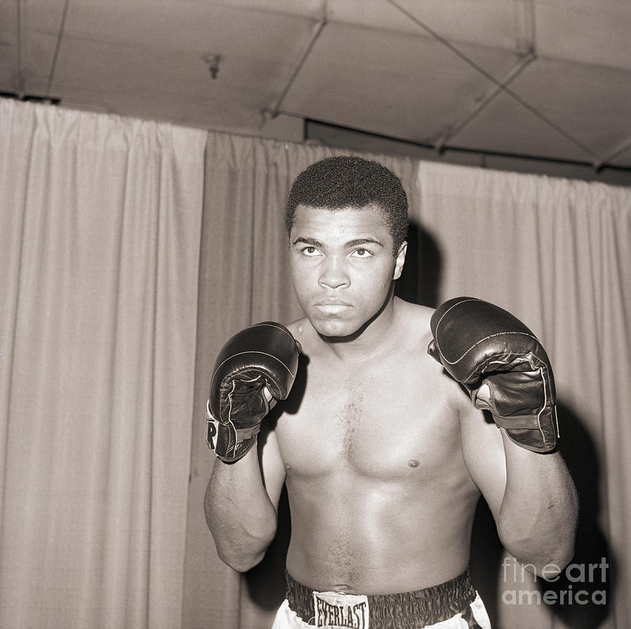 Champion Boxer Muhammad Ali Photograph by Bettmann