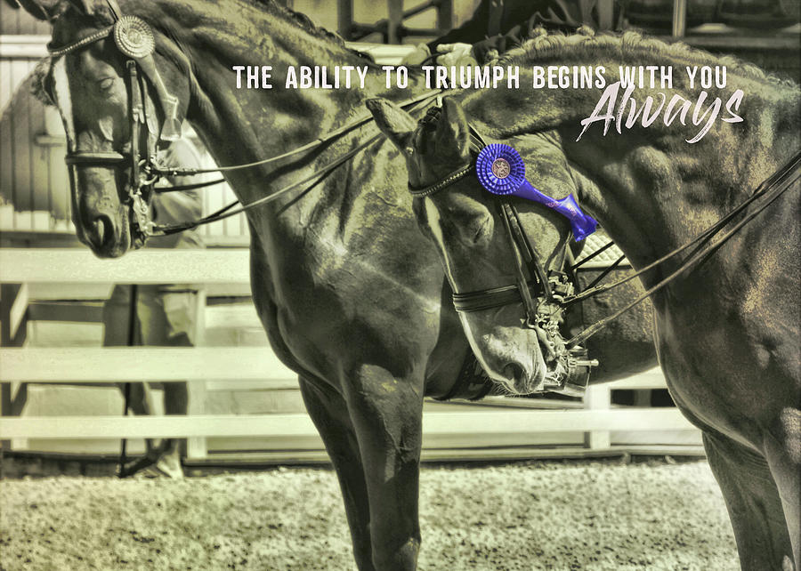 CHAMPIONS quote Photograph by Dressage Design