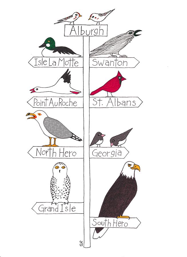 Birding Drawing - Champlain Islands CBC 2018 by Sarah Rosedahl
