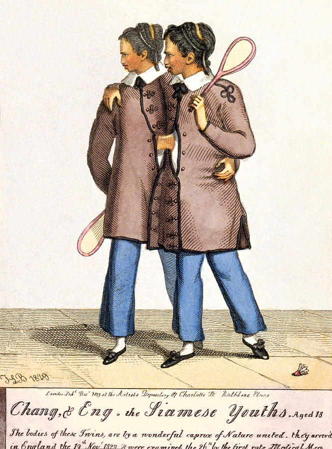 Chang, & Eng. the Siamese Youths. Aged 18 Painting by Jlb
