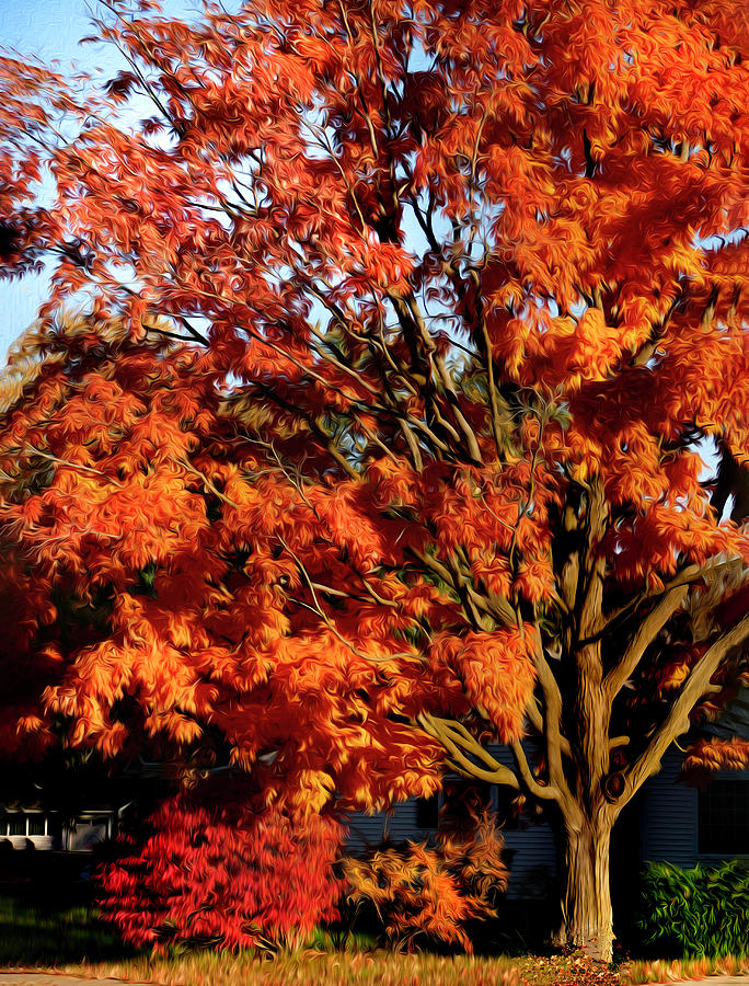 Changing of the Season, Autumn Digital Art by Sandra Js