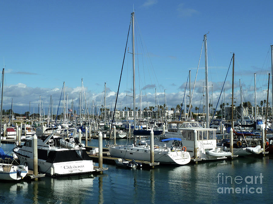 Boat Photograph - Channel Islands Marina by Julieanne Case
