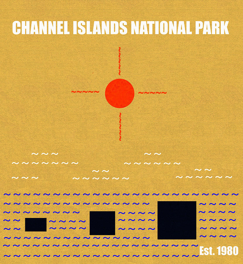 Channel Islands N. P. M series Mixed Media by David Lee Thompson