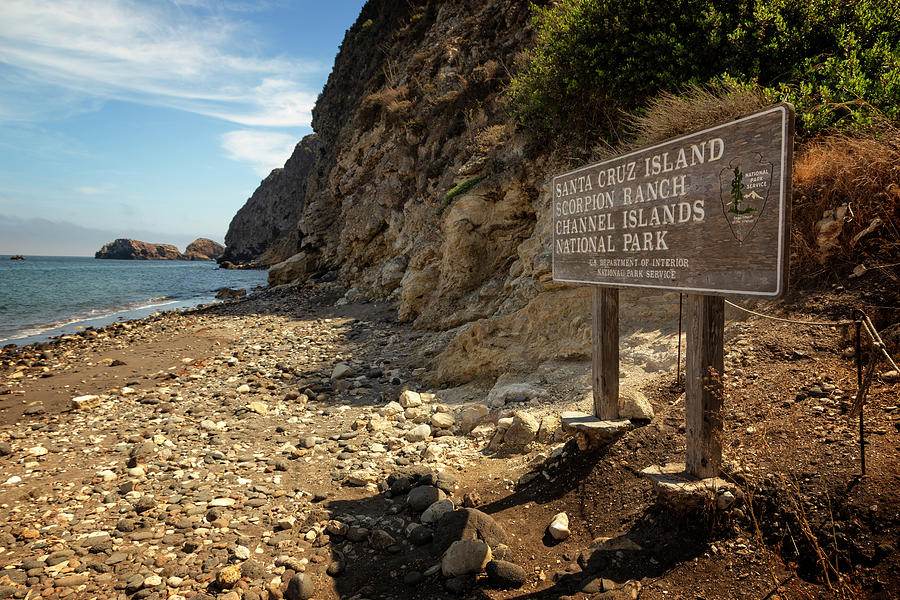 Nature Photograph - Channel Islands National Park VIII by Ricky Barnard