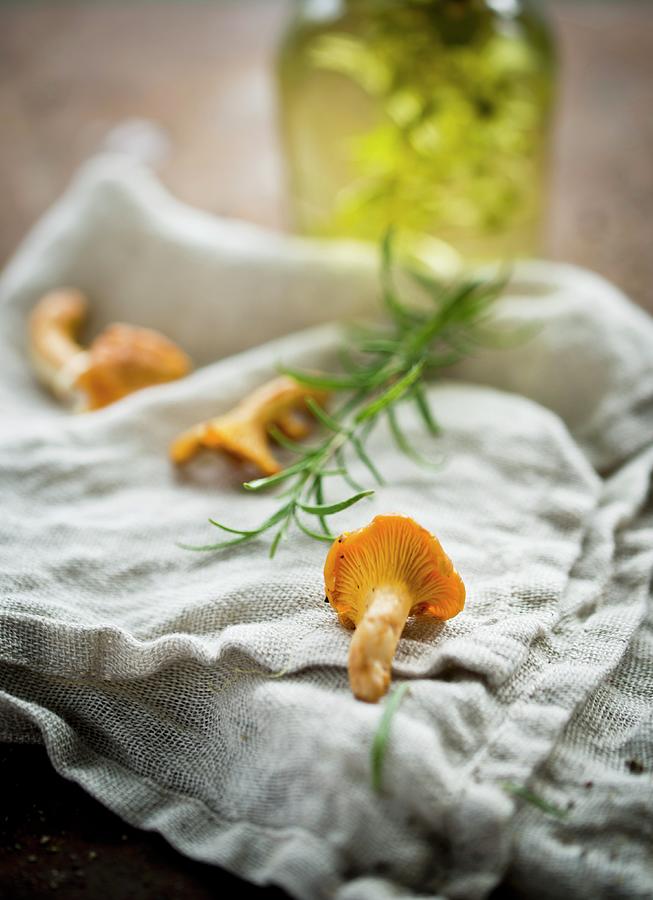Chanterelle Mushrooms, Rosemary And Olive Oil Photograph by Dorota Indycka