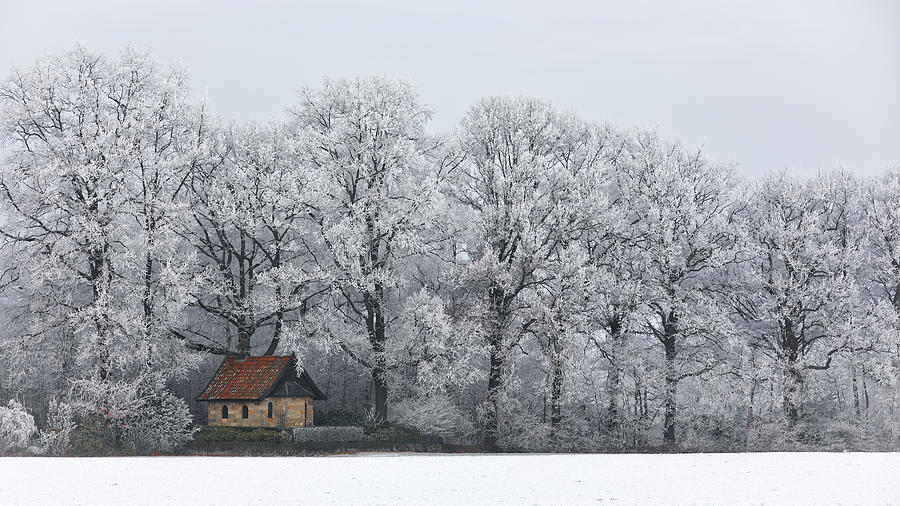Tree Photograph - Chapel And Rime by Frank Wijn