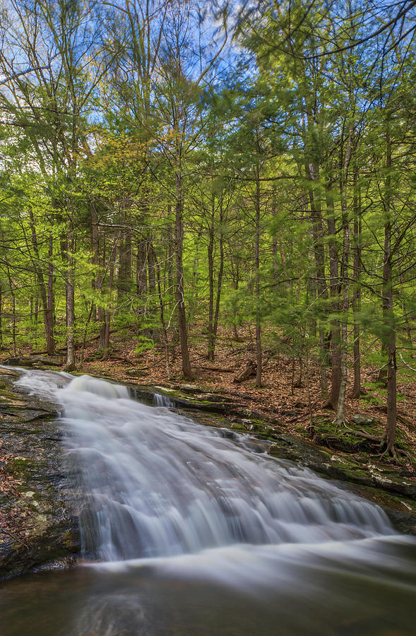 Chapel Falls at Chapel Brook Reservation Photograph by Juergen Roth