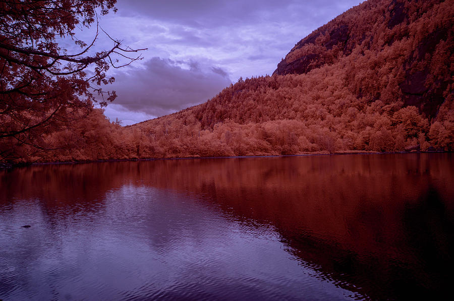 Chapel Pond in Infrared Photograph by Alan Goldberg
