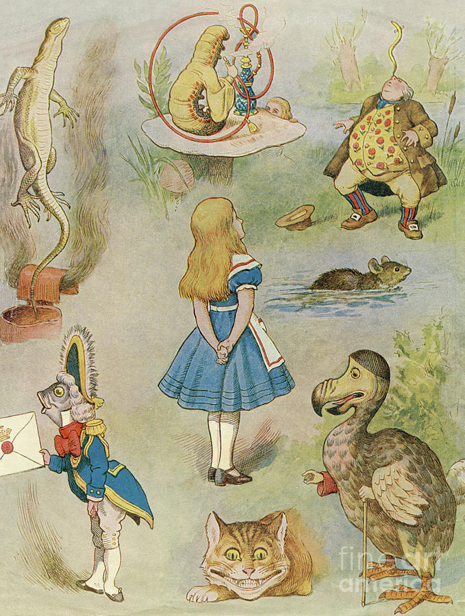 Characters from Alice in Wonderland Drawing by John Tenniel
