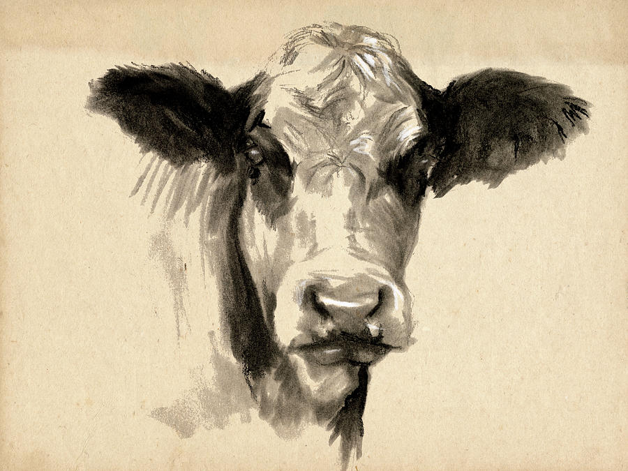 Charcoal Cow II Painting by Jennifer Paxton Parker - Fine Art America