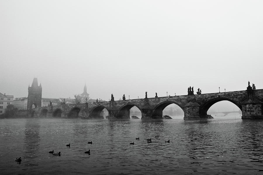 Charles Bridge, Praha Photograph by G.g.bruno