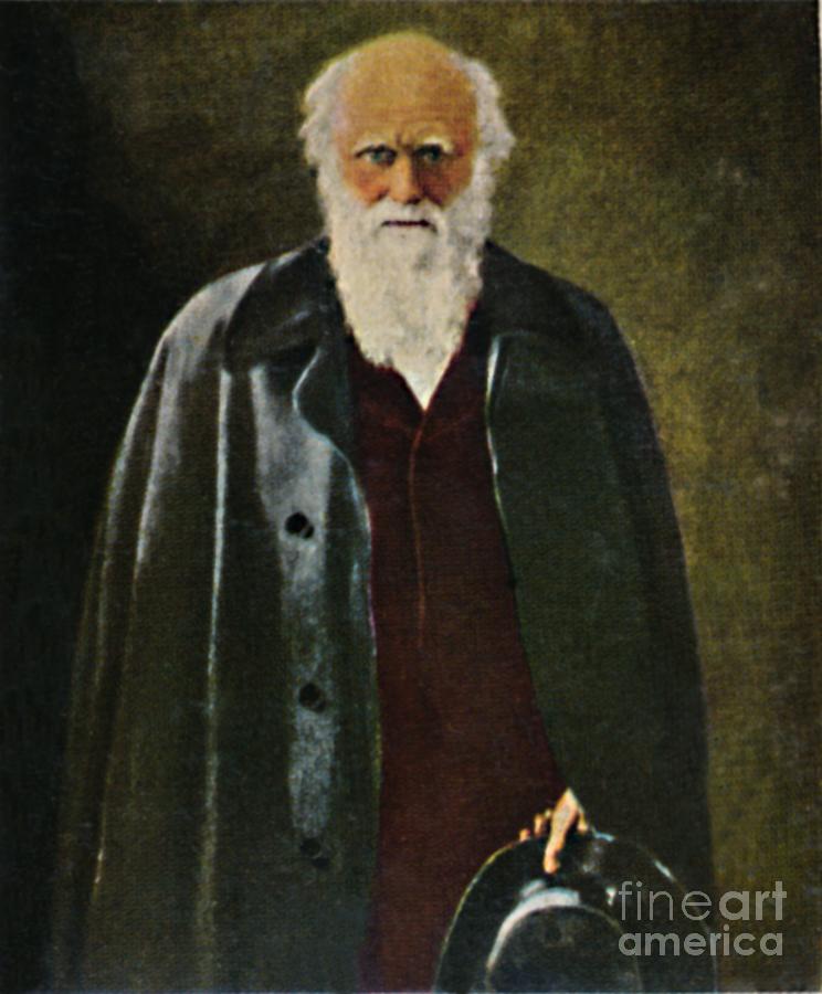 Charles Darwin 1809-1882 - Gemalde Von Drawing by Print Collector