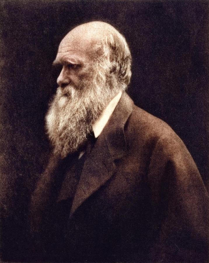 Charles Darwin By Julia Margaret Cameron Colorized By Ahmet Asar Painting